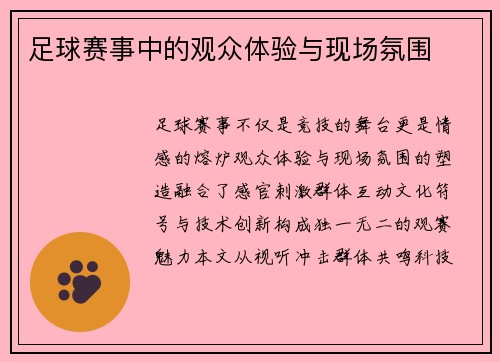 足球赛事中的观众体验与现场氛围